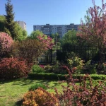 Фото №2 Все виды садовых услуг 
