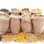 овёс в мешках