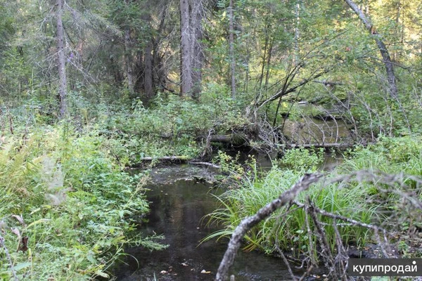 Фото ⭕ЗЕМЛЯ 32га. ЛЕС, РУЧЕЙ.