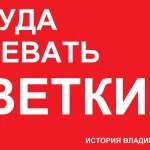 ЧТО ДЕЛАТЬ С ВЕТКАМИ?! История Владимира.СЕКРЕТ УТИЛИЗАЦИИ. 