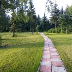 Фото №3 Покос травы, спил, благоустройство.