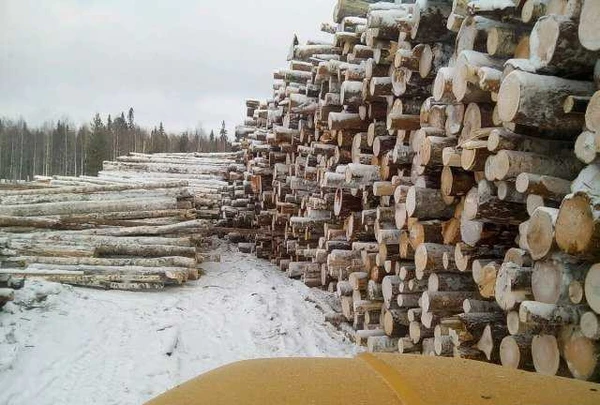 Фото Продажа Дров