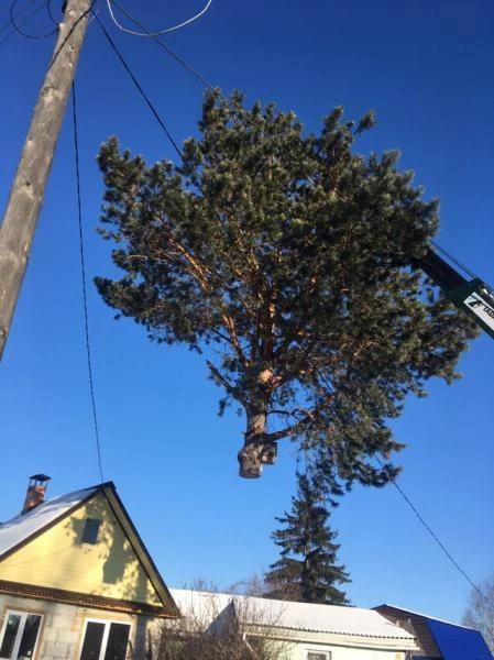 Фото Услуги спецтехники 