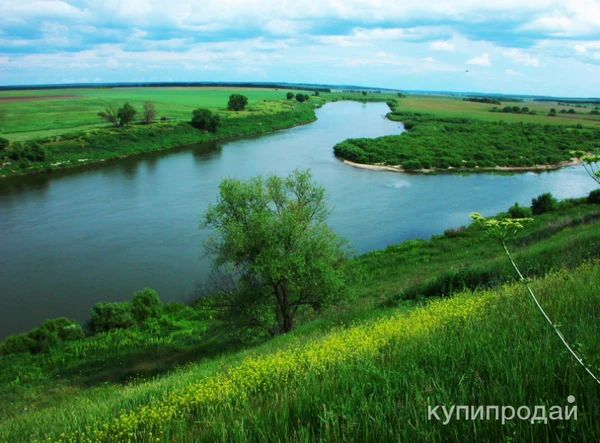 Фото Первая линия, для производства красной черной икры