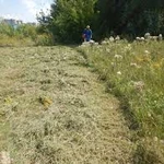 Фото №2 Скосить участок благоустройство территории