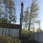 Фото №4 Спил деревьев 