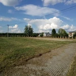Фото №4 Покос травы