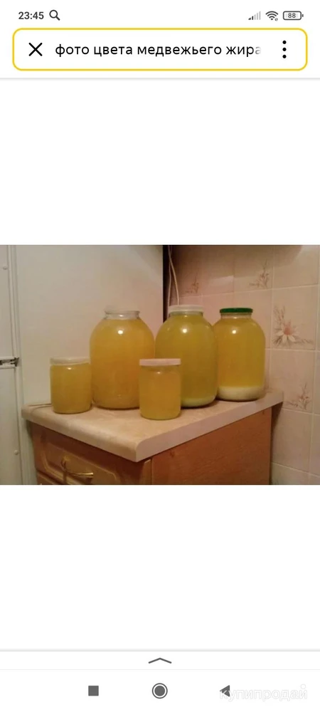 Фото Медвежий жир