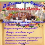 Передержка животных собак и кошек