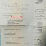 Фото №3 Дрессировка собак в Стерлитамаке СЕМИНАР