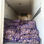 фото Картофель оптом