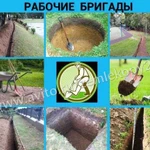 Землекопы