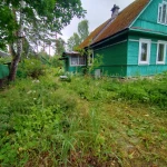 Фото №27 Прокосили траву и ХРЕН В ПОС.ВЫРИЦА. ДО и ПОСЛЕ.