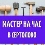 Мастер на час