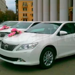 Фото №2 Прокат автомобиля на свадьбу