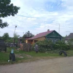 Фото №4 Спил деревьев, удаление деревьев