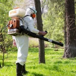 фото АКАРИЦИДНАЯ ОБРАБОТКА ОТ КЛЕЩА