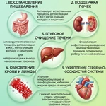 Фото №4 Короли Зелени дренажный напиток