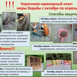 Услуги Фитопатолога, Энтомолога Агронома и Арбористов в Сочи