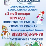 Путёвка в детский лагерь на Новогодние каникулы 2019 