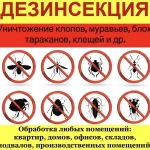Фото №2 ДЕЗИНСЕКЦИЯ