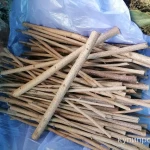 Фото №4 Лещина лесная веточки. Цена за 100 грамм.