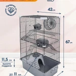 Фото №2 2 клетки