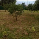 Фото №12 Продам земельный участок 24 сотки в Подмосковье