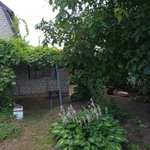 Фото №7 Продаю дачу СНТ Нефтяник