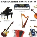 Муз инструменты для обучения, съемок, концертов