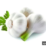 фото чеснок