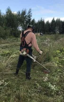 Фото Скосить высокую траву