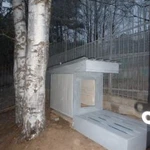 Фото №5 Передержка собак разных пород