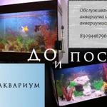 Услуги аквариумиста