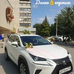 Фото №4 Свадебный кортеж (авто и украшение машин) 