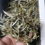 Фото №5 Облепиха жёлтая листья. Цена за 100 грамм.