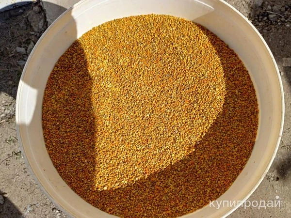 Фото Продам Пыльцу оптом