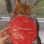 Фото №6 Игрушка для собаки диск тарелка