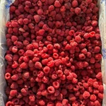 Фото №2 Малина оптом