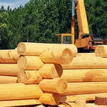 Фото №3 Бани из кедра ручной рубки от производителя