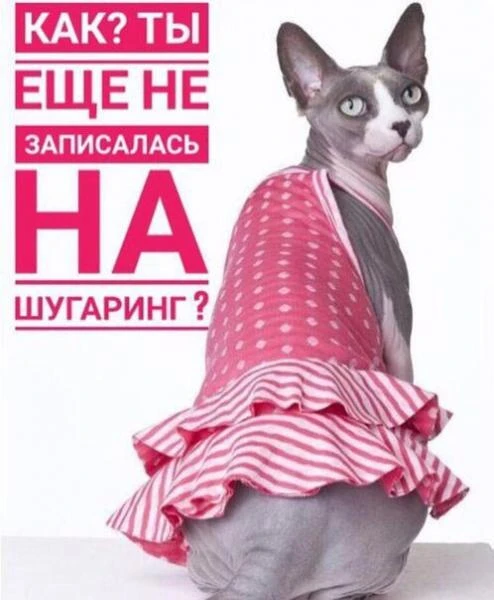 Фото Шугаринг. Сладкая депиляция.