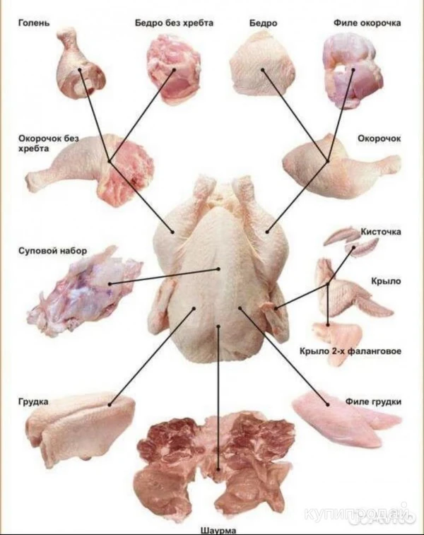 Фото Крыло куриное свежее