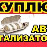 Приём, Скупка авто катализаторов