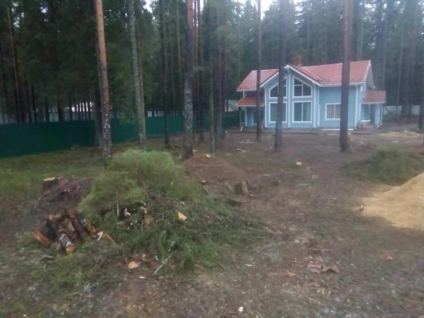 Фото Выполнен объект Валка Расчистка Спил Уборка. 101 фотография.
