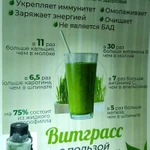 Фото №4 Сок ростков пшеницы - Витграсс