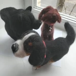 фото Шпиц черный