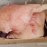 Фото №5 Свежее фермерское мясо