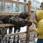 Фото №6 Проведи свободное время с семьей или компанией