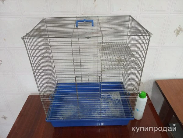 Фото Клетка