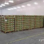 фото Продаётся складской комплекс--хладокомбинат.